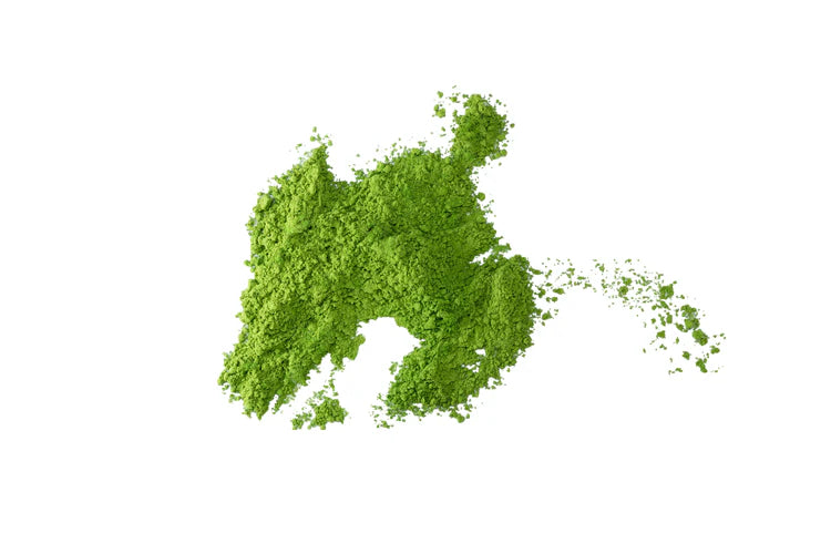 Bio - Matcha Tee Ceremonial 50 g